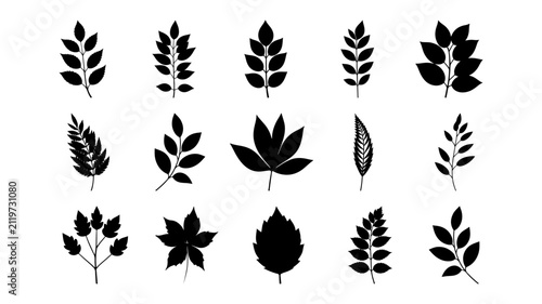 Collection of Diverse Leaf and Plant Silhouettes for Botanical Design.