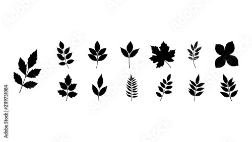 Collection of Various Leaf Silhouettes for Design Projects.