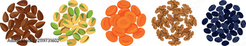 Healthy Dried Fruits and Nuts Collection Featuring Almonds, Pistachios, Apricots, Walnuts, and Raisins Vector Illustration Set for Nutritious Snacks
