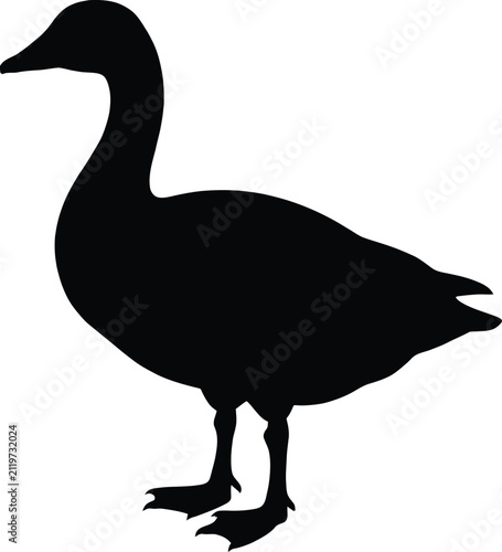 Goose Silhouette Vector Illustration
Waterfowl Bird Logo