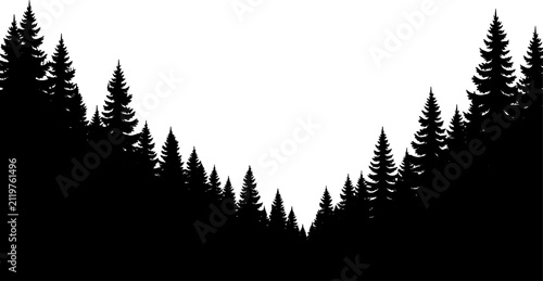 Coniferous evergreen trees create a dense forest border framing a central white valley opening