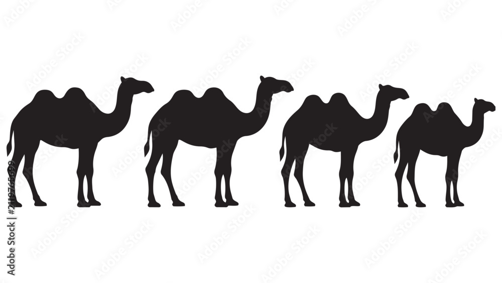 Obraz premium Black and White Silhouette Line Art of Four Camels Walking in a Row - Minimalist Desert Animal Vector Illustration