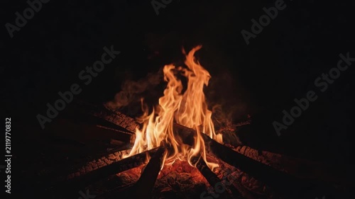 Bright campfire burning on logs in the dark forest at night