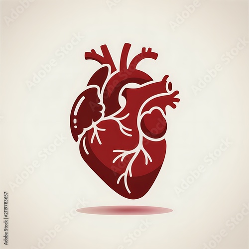 Anatomical human heart illustration icon