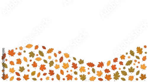 Autumn leaves horizontal border with copy space on white background
