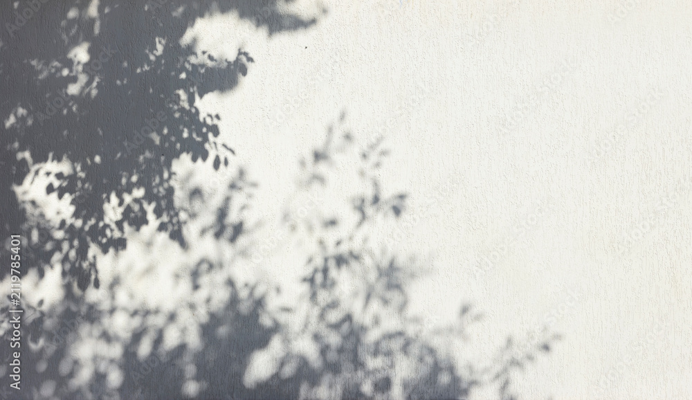 Fototapeta premium Shadow of leaves tree plant overlay on white wall. Sunlight effect shadow on the wall. Minimal blurred backdrop backgrounds. Summer tropical surface background.