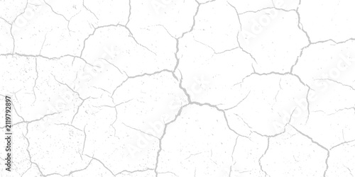 Canvastavla A stark, abstract pattern of fine cracks on a white surface, suggesting dryness, fragility, and natural imperfection