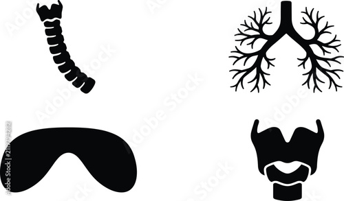 Принти на полотні Human respiratory system organs black silhouette icon set for medical and educat