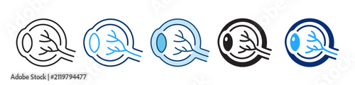 Eye anatomy icon set representing the human eyeball cross-section with lens, retina, and optic nerve, in five design styles: outline, two-tone, flat color, glyph, and duotone.