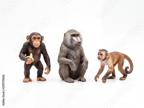 Three different plastic monkey animal figurines isolated on a clean white background studio shot