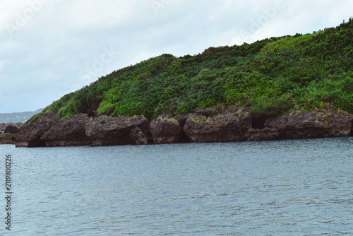 Foto Rocky headland covered in green vegetation over calm sea