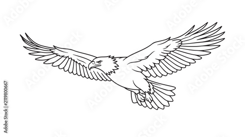 Cuadro en lienzo Majestic bald eagle flying vector illustration, black and white line art of soar