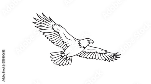 Bild auf Leinwand Bald eagle flying vector illustration, majestic bird of prey in flight, black an
