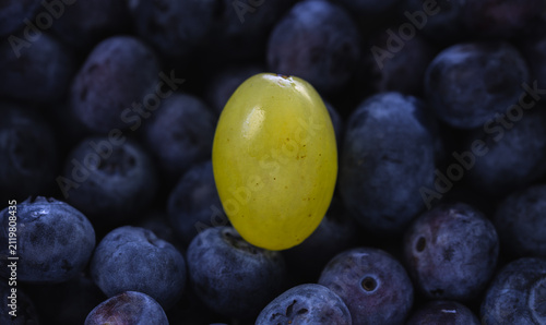A fresh green grape standing out among ripe blueberries under soft moody lighting. The vivid color contrast, smooth textures, and shallow depth of field create a striking food macro.
