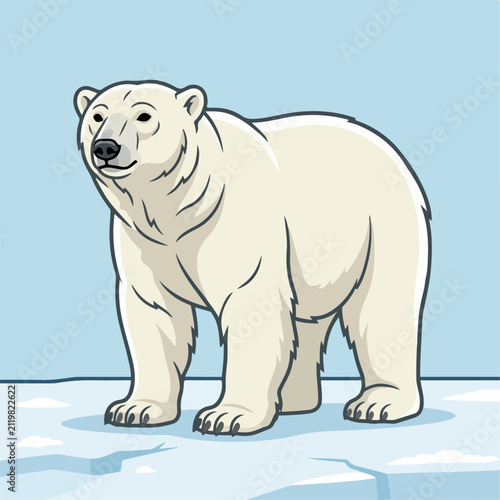 Flat illustration of a white bear