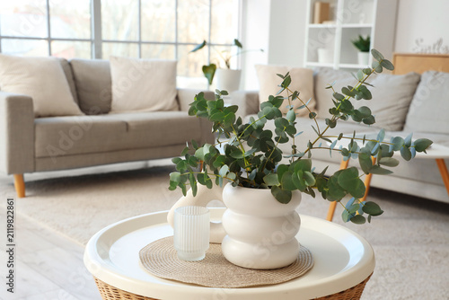 Vases with fresh eucalyptus...