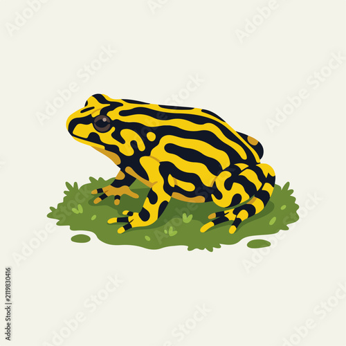flat illustration of corrobore animal