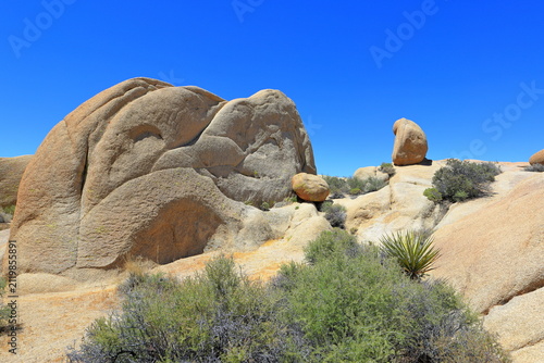 Fotografía Jumbo Rocks Area at Joshua Tree National Park, a desert park with its geologic w