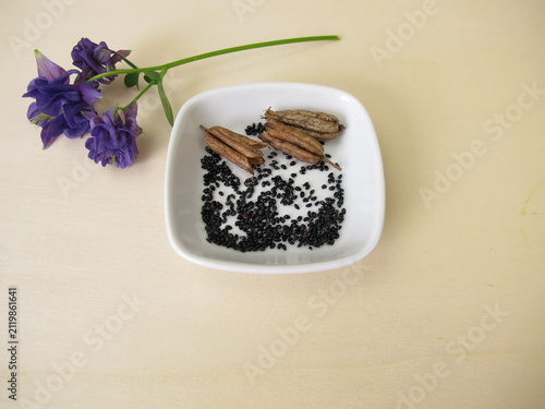 Black seeds from the columbine in a porcelain bowl with follicle fruits and flowers
