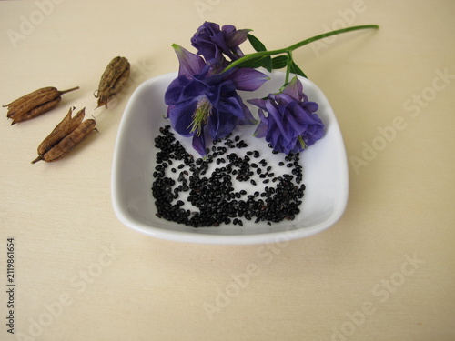 Black seeds from the columbine in a porcelain bowl with follicle fruits and flowers