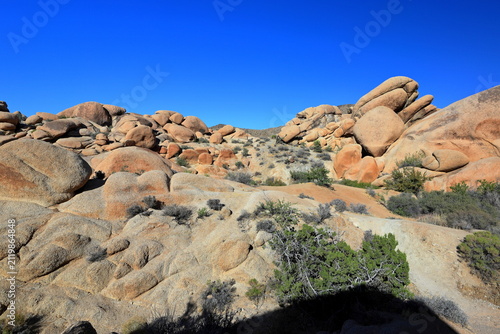 Fotografía Arch Rock area at Joshua Tree National Park, a desert park with its geologic won