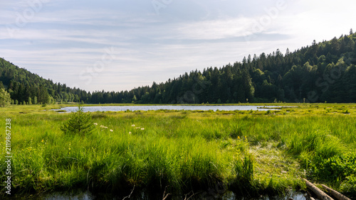 Принти на полотні Blick auf den Lac de la Ténine - Vogesen im Sommer
