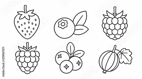 Set of hand-drawn berry icons, black and white line art collection