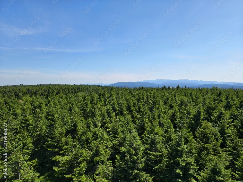 Fototapeta premium Widok na góry 