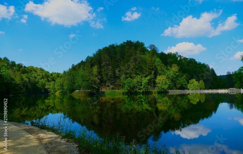 Lake in pure green nature with forest reflection in a water and a blue sky with fluffy clouds, Croatia