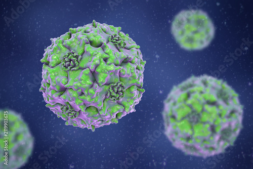 Fotografie Parvoviruses, 3D illustration showing small non-enveloped icosahedral DNA viruses, including pathogens such as parvovirus B19 and canine parvovirus