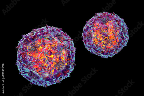 Foto Parvoviruses, 3D illustration showing small non-enveloped icosahedral DNA viruses, including pathogens such as parvovirus B19 and canine parvovirus