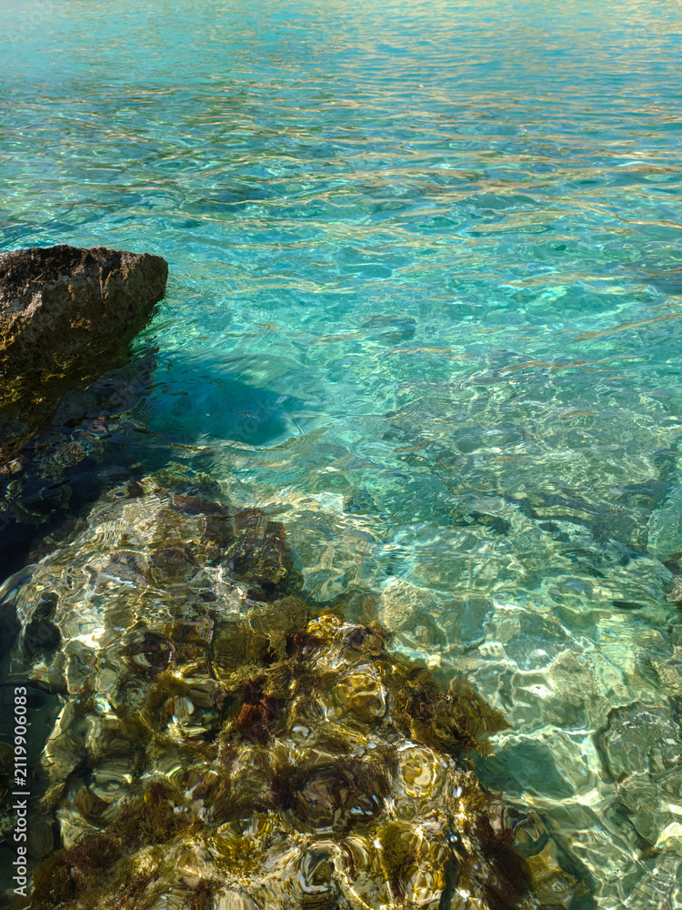 Fototapeta premium High-angle view of transparent clear turquoise ocean water with rocky seabed covered in moss and seaweed. Perfect for summer vacation, travel, and nature backgrounds