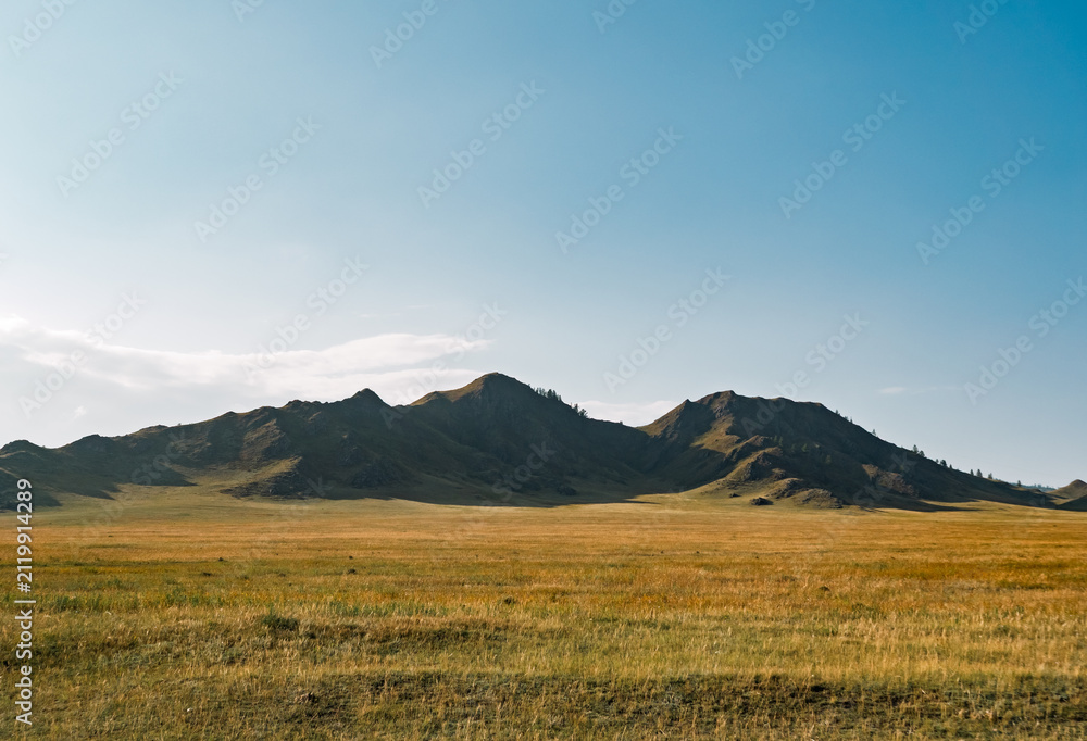 Obraz premium Vast steppe landscape with golden grassland extending to rugged mountains under a clear blue sky