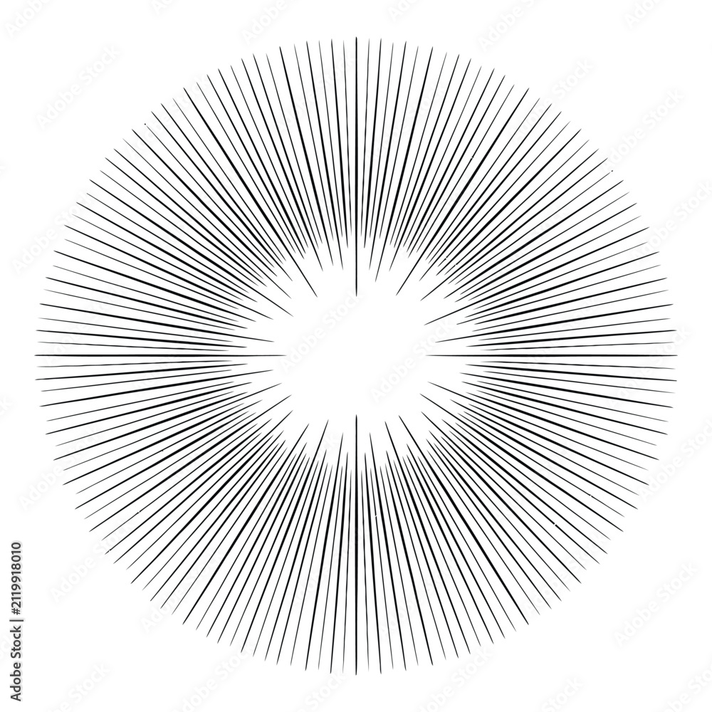 Fototapeta premium Radial burst silhouette on white background linear graphic element
