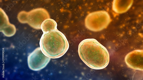фотографія Cryptococcus neoformans, 3D illustration of encapsulated yeast cells with budding forms, opportunistic fungal pathogen associated with cryptococcosis and meningitis in immunocompromised patients