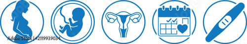 A series of five medical icons representing the stages of human pregnancy