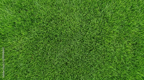 Vibrant green grass lawn texture viewed from top down perspective creating natural organic pattern.