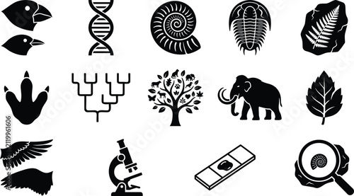 Konstfotografi Evolution science solid icon set, fossils, DNA, prehistoric animals, paleontolog