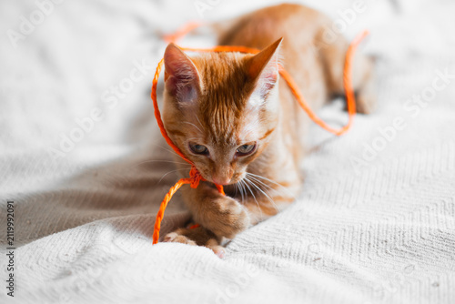 A small ginger cat is playing with a long orange string on a soft white blanket. The cat is focused on its paws and the string, showing a sense of curiosity and playfulness
