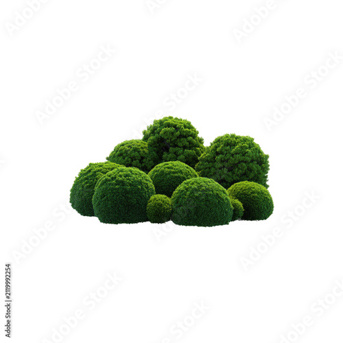 Collection of lush manicured green topiary bushes and ornamental garden shrubs isolated on transparent background