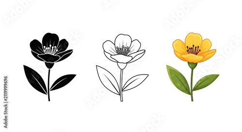 Yellow flower with green stem and leaves on white background