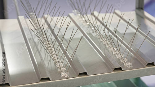 Anti Pigeon Spikes Bird Control at Corrugated Steel Roof Industrial Building