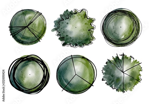 Top view sketch trees hand-drawn with ink and watercolor style for landscape planning