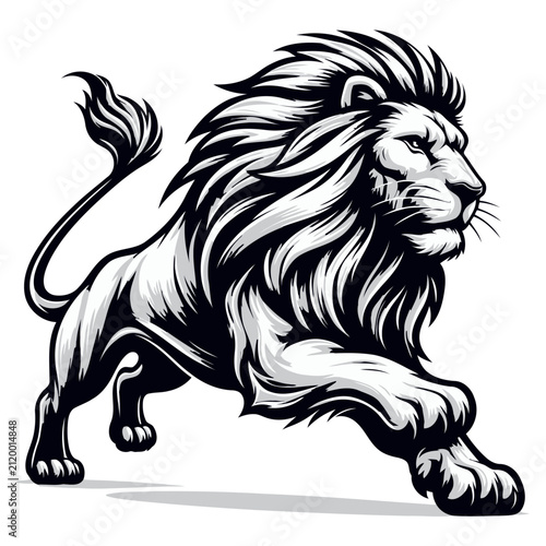 Lion vector and illustration.
