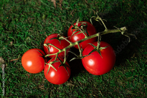 still life photograph of cherry tomato