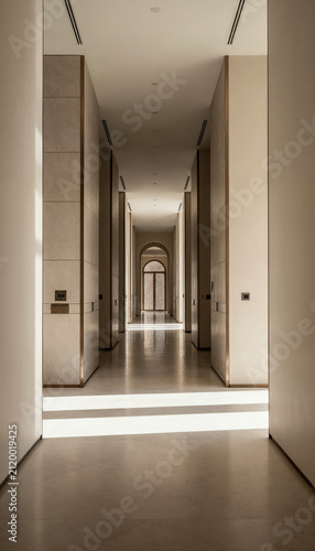 Luxury modern hallway with patterned door and warm light