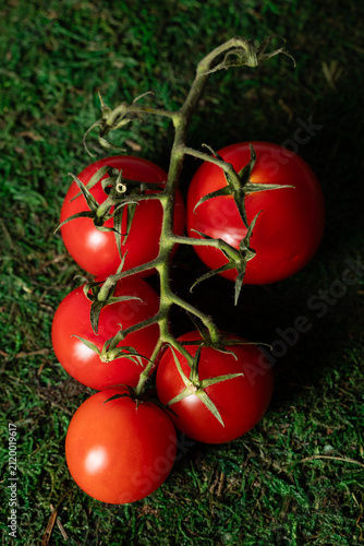still life photograph of cherry tomato