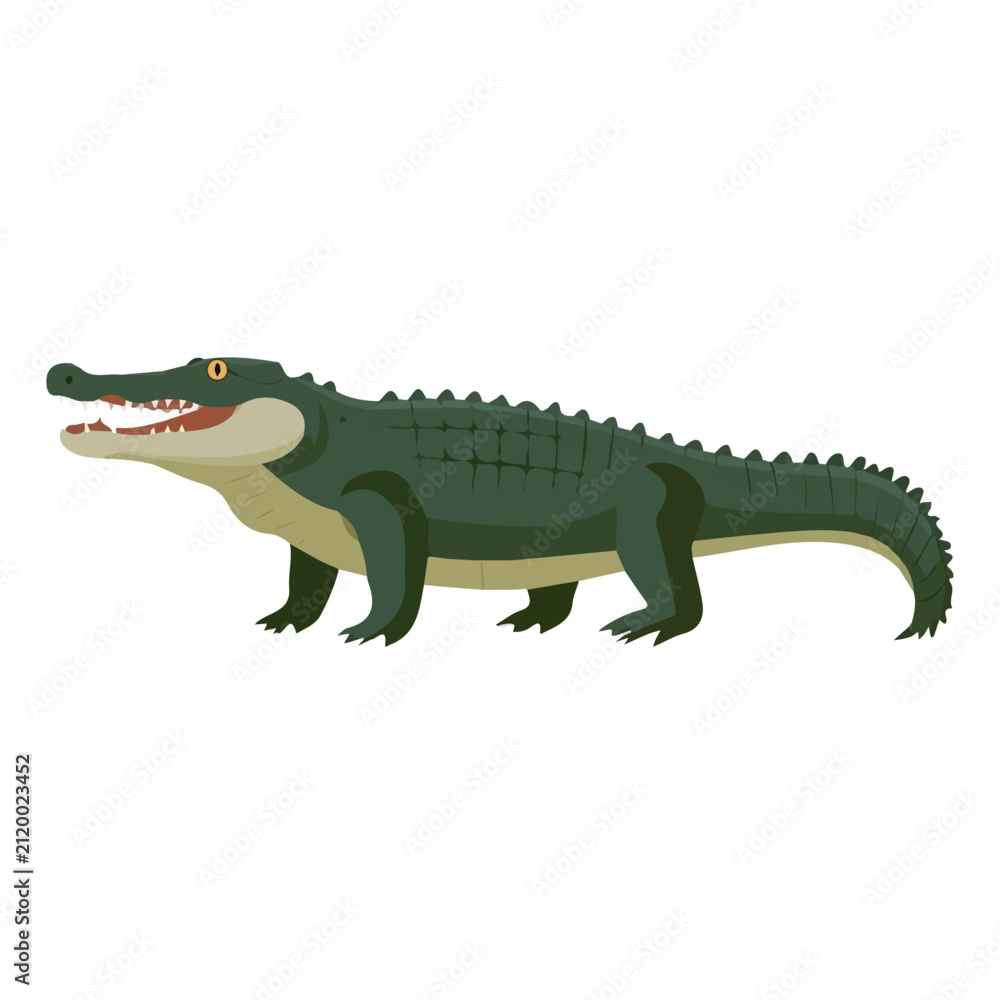 Fototapeta premium Minimal 2D flat vector of a Crocodile, icon-style illustration on a white background