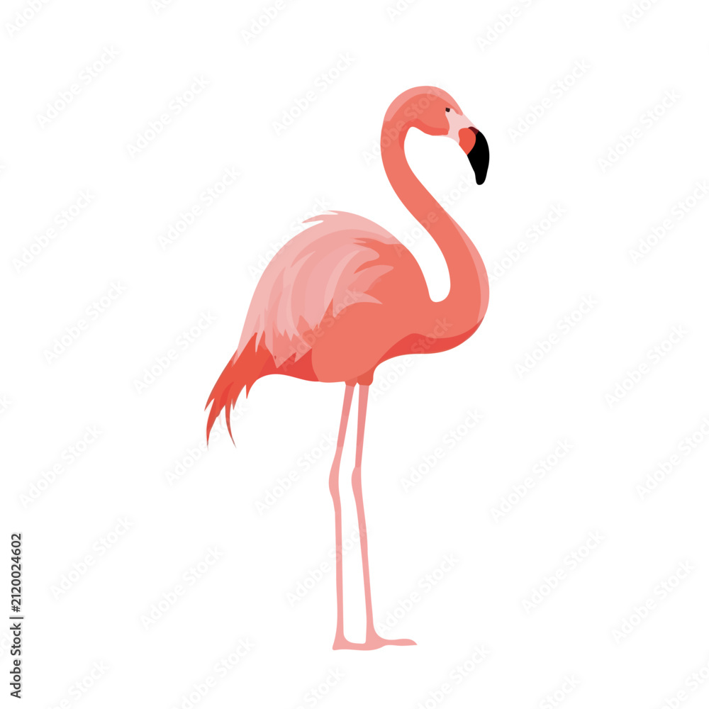 Fototapeta premium 2D flat vector graphic of a Flamingo in icon style, isolated on white background