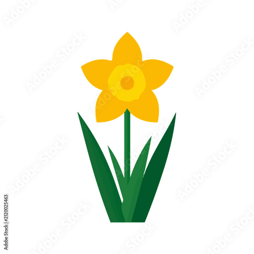 Daffodil Flower, 2D flat vector illustration in icon style, isolated on a white background